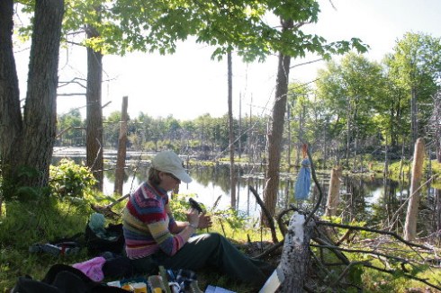 3594045852_023eb65119 Seabrooke Leckie at the banding station