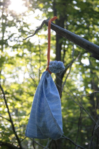 3594046688_3a77d84e50 3594046688_3a77d84e50