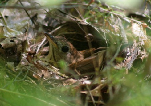 3601590295_3434b00fe8