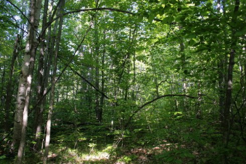 3602406400_9e6e74a0d3