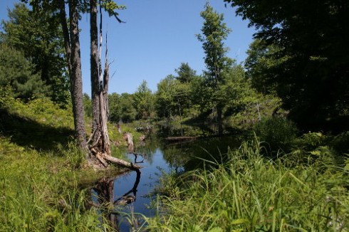 3602407168_ce04b86763