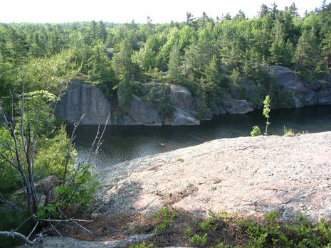 View from the banding station