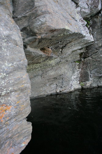 3742451919_e85d4acd2a