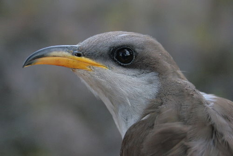 3743243228_608978c481