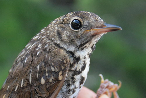 3743243368_bd916b5e60