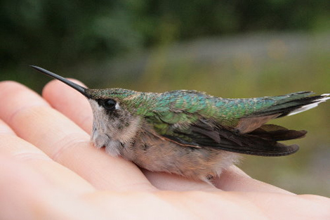 3767269662_c541752b7f