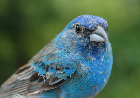 3767270640_bb59518c07