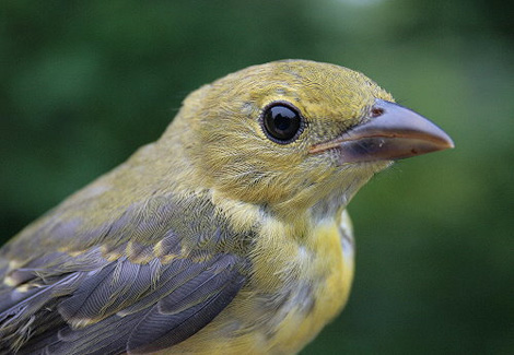 3767270732_53281c443a