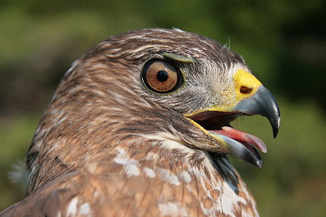 3668800446_1eb3dbbe3f