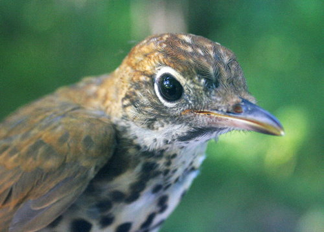 3789258181_d348629812