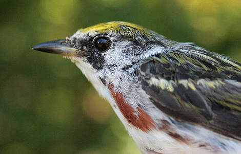 3789258417_11b69984b2