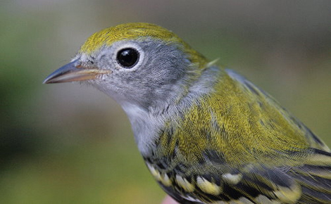 3790070702_d2c9dc637d