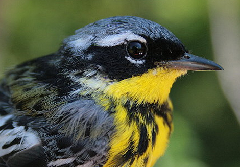 3790071104_95c000be74