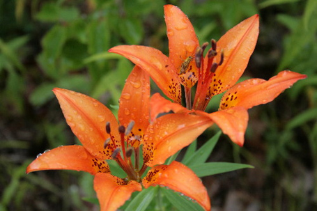 4688457425_9f91008772