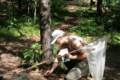 4793997339_b0d24b3f45