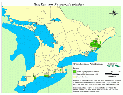 map_Gray-Ratsnake